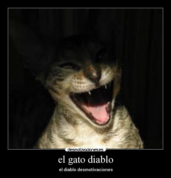el gato diablo - el diablo desmotivaciones