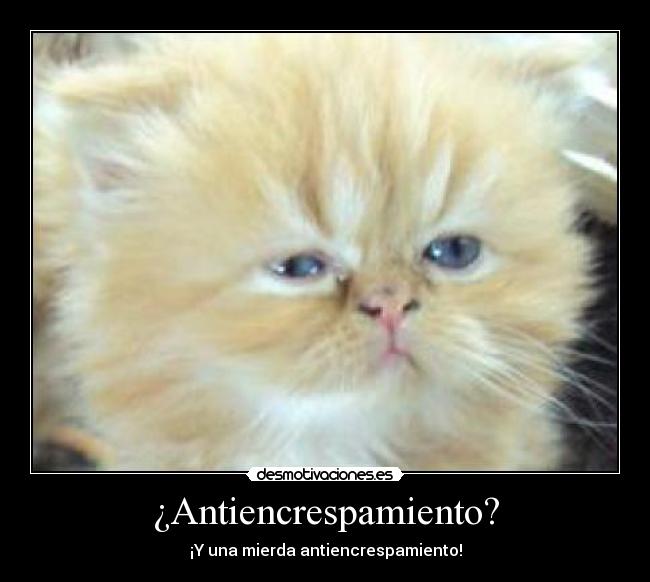 ¿Antiencrespamiento? - ¡Y una mierda antiencrespamiento!