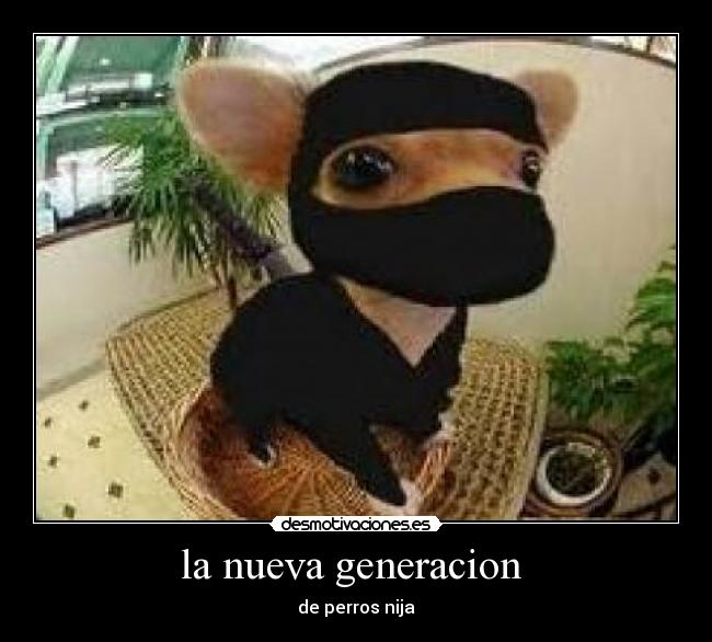 la nueva generacion  - de perros nija