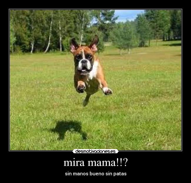 mira mama!!? - sin manos bueno sin patas
