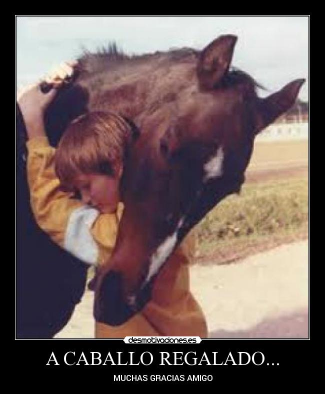 A CABALLO REGALADO... -