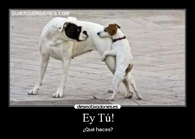 Ey Tú! - 