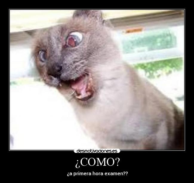 carteles lobaco desmotivaciones