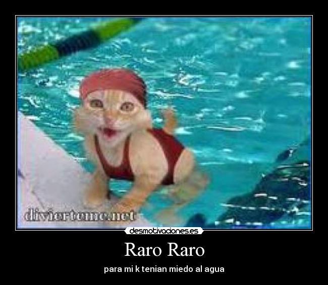 carteles wwwdesmotivacioneses desmotivaciones