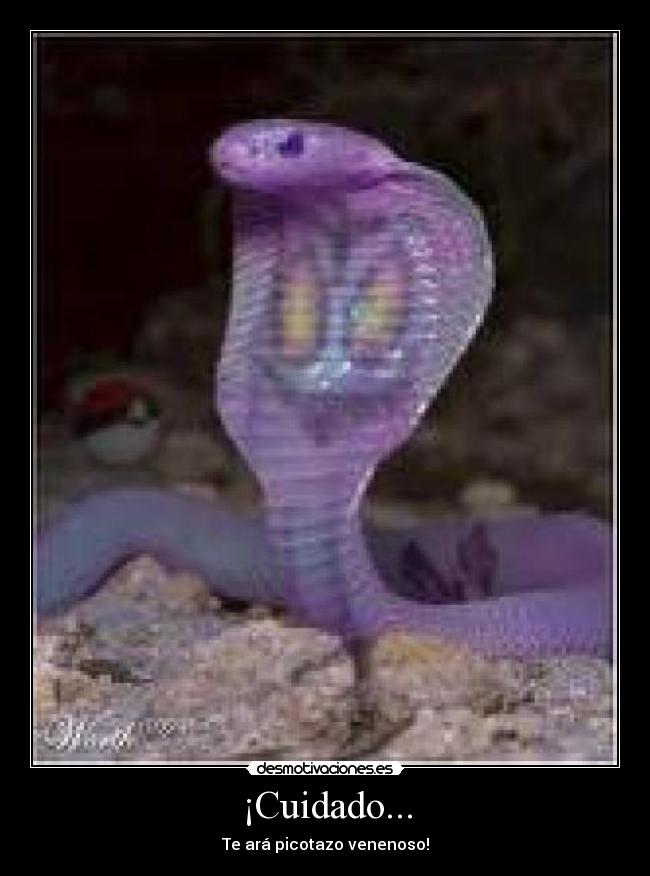 carteles pokemon desmotivaciones