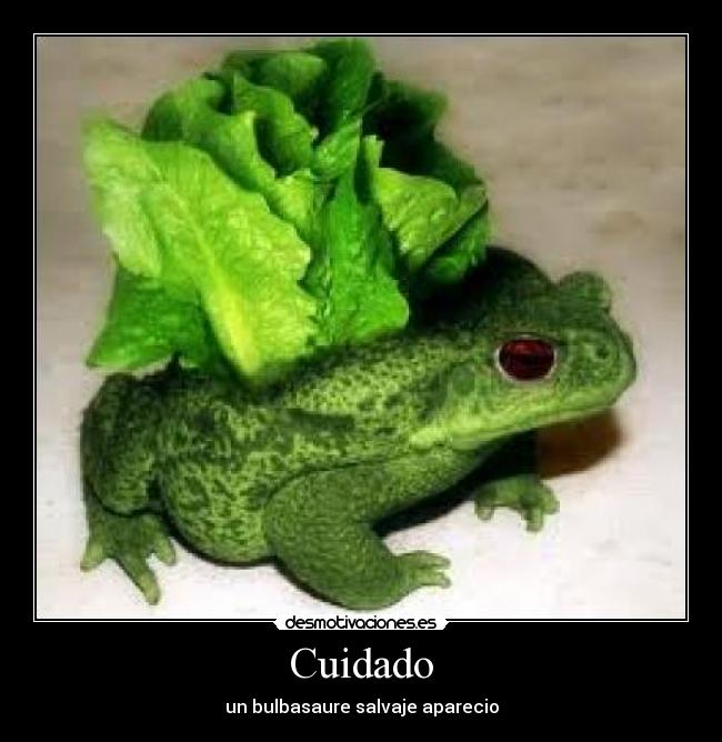 Cuidado - un bulbasaure salvaje aparecio