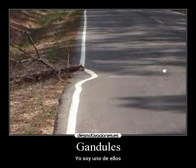 Gandules - 