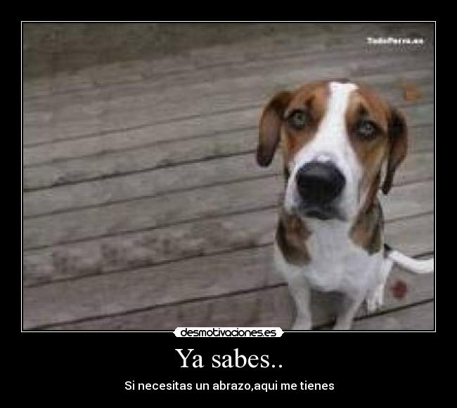 Ya sabes.. - Si necesitas un abrazo,aqui me tienes