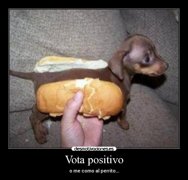 Vota positivo -