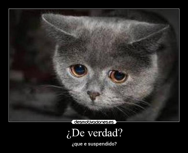 ¿De verdad? - 