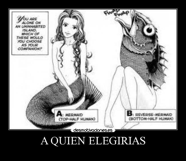 A QUIEN ELEGIRIAS -