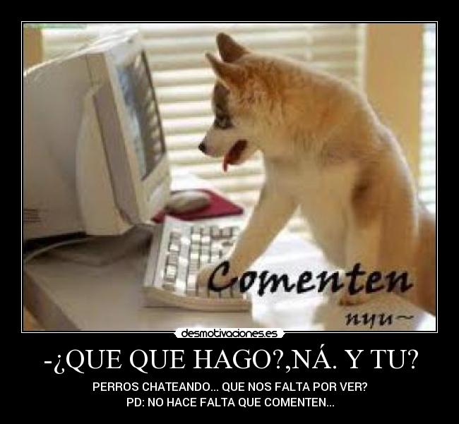 -¿QUE QUE HAGO?,NÁ. Y TU? -
