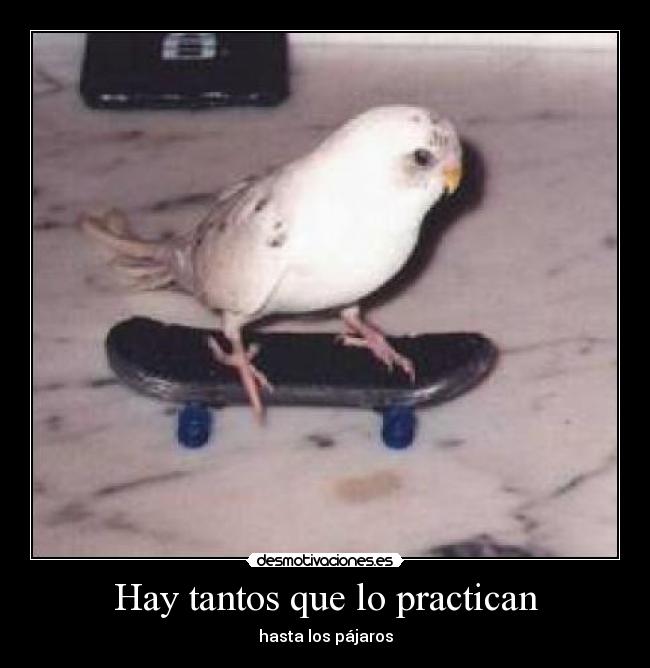 Hay tantos que lo practican - hasta los pájaros