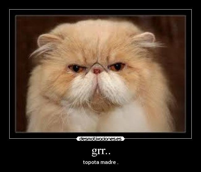 grr.. - topota madre .