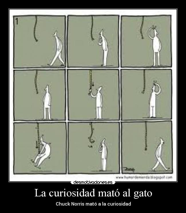 La curiosidad mató al gato - Chuck Norris mató a la curiosidad