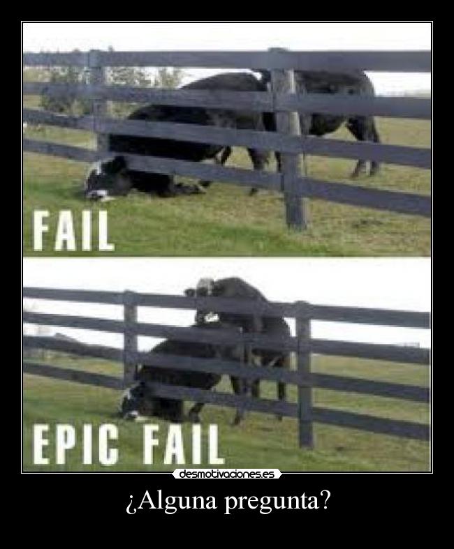 ¿Alguna pregunta? -