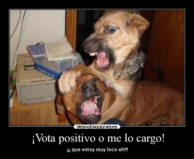 ¡Vota positivo o me lo cargo! -