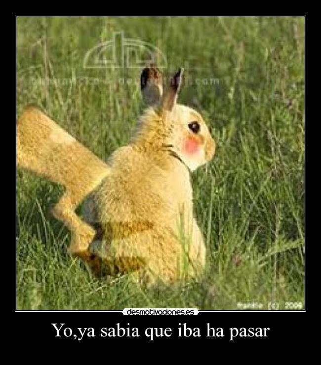 Yo,ya sabia que iba ha pasar - 