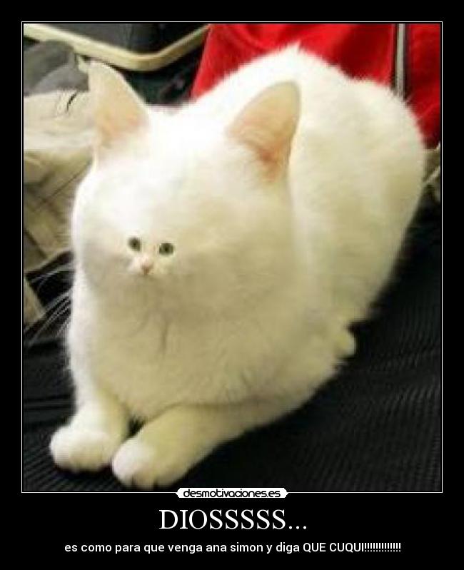 DIOSSSSS... - 