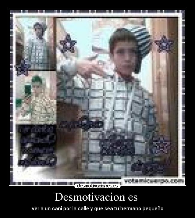 Desmotivacion es - ver a un cani por la calle y que sea tu hermano pequeño