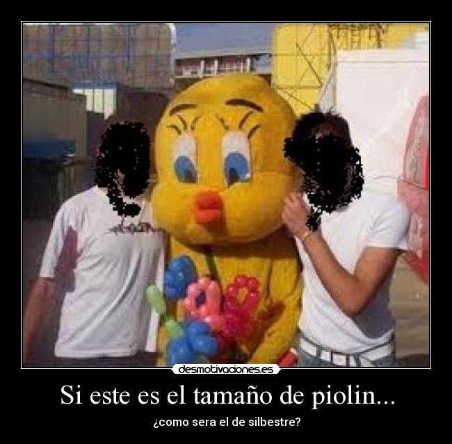 Si este es el tamaño de piolin... -