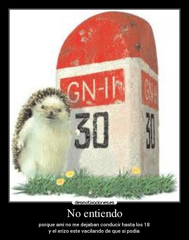 carteles wtf desmotivaciones