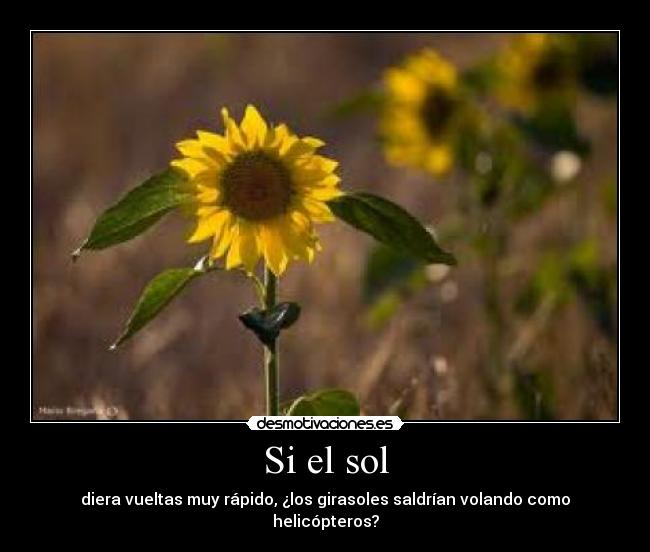 Si el sol -