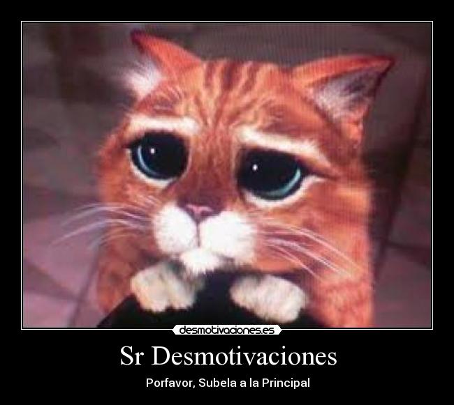 Sr Desmotivaciones -