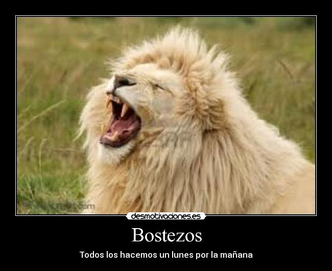 Bostezos - 