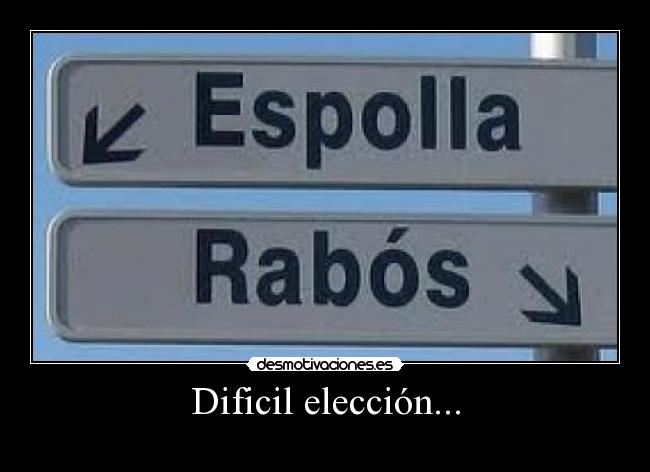 Dificil elección... -