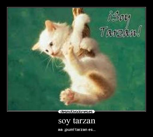 soy tarzan - aa  ¡pum! tarzan es...