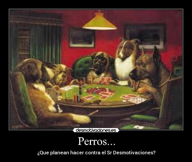 Perros... - 
