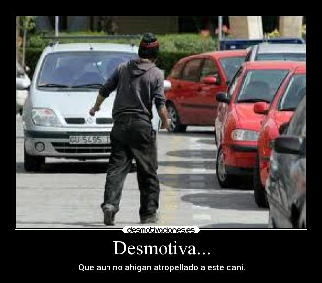 carteles desmotivacion cani atropello psicopata mi-segundo-cartel desmotivaciones