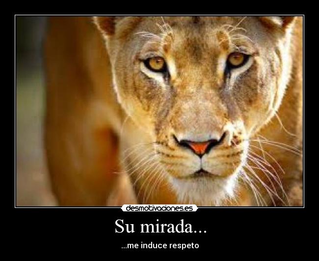 Su mirada... - ...me induce respeto