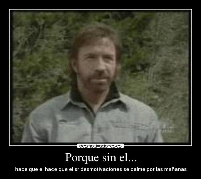 carteles chuck norris desmotivaciones