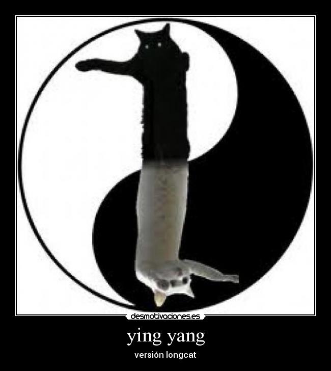 ying yang - versión longcat