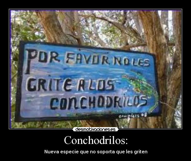 carteles conchodrilos terrazon cocodrilos desmotivaciones