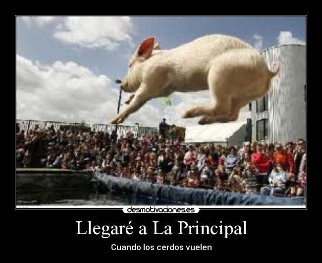 Llegaré a La Principal - Cuando los cerdos vuelen