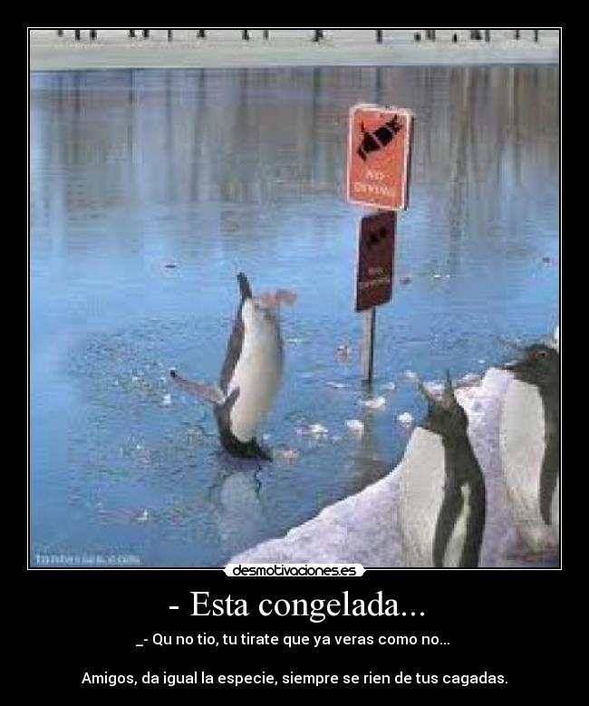 - Esta congelada... -