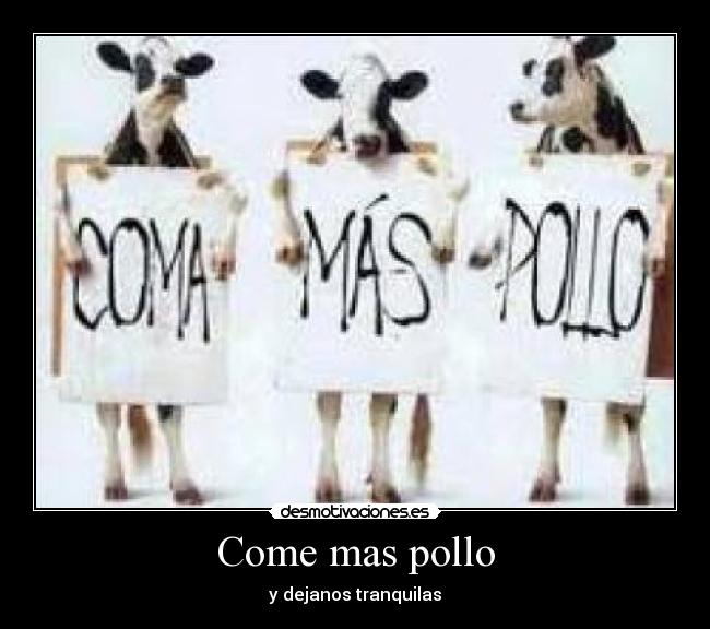 Come mas pollo -