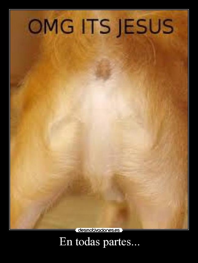 En todas partes... - 