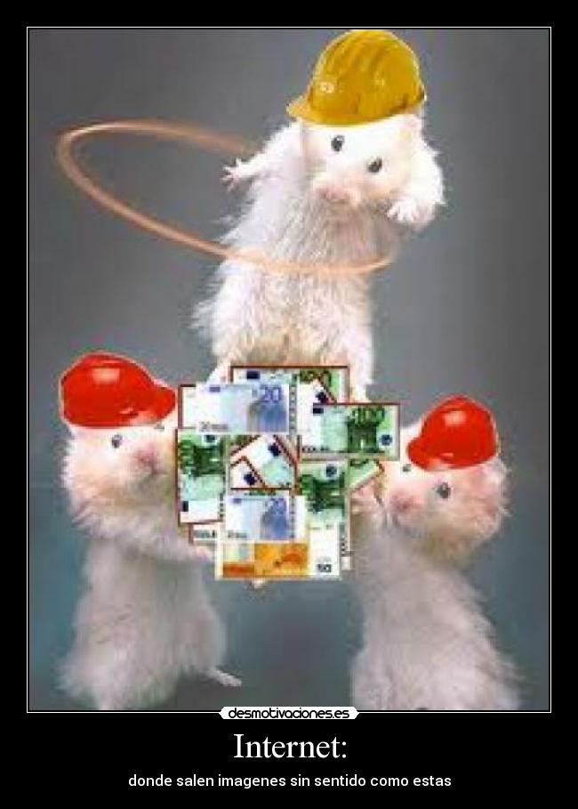 Internet: - donde salen imagenes sin sentido como estas