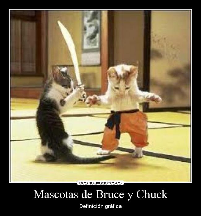 Mascotas de Bruce y Chuck - Definición gráfica