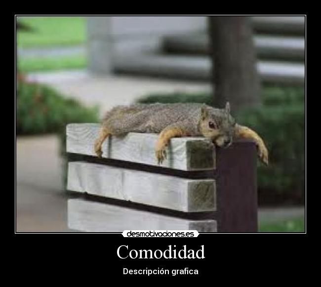 Comodidad -