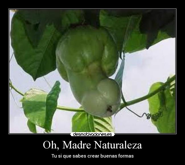 Oh, Madre Naturaleza - 