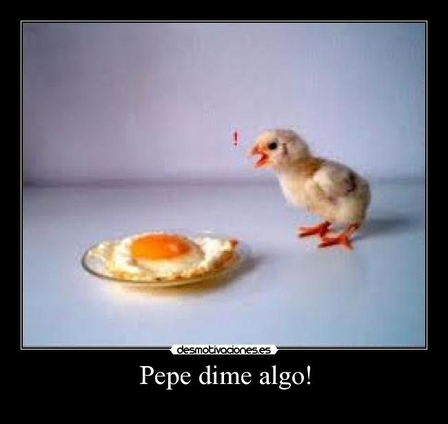 Pepe dime algo! -