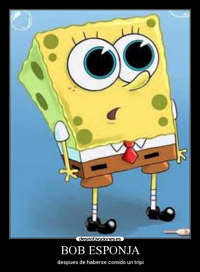 BOB ESPONJA -