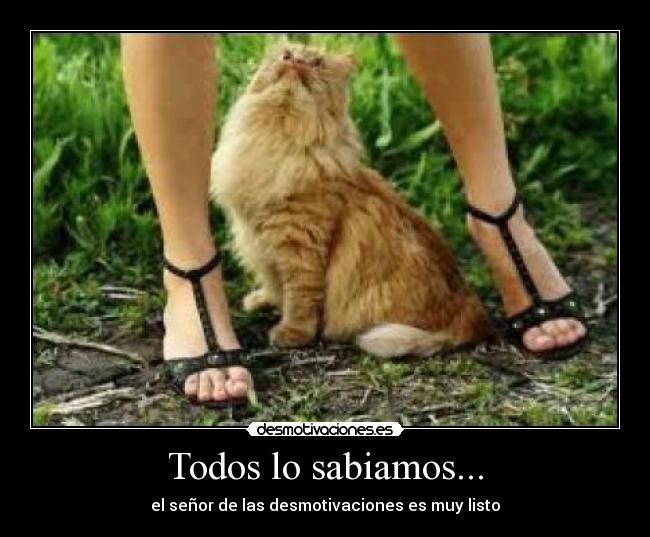 Todos lo sabiamos... - el señor de las desmotivaciones es muy listo