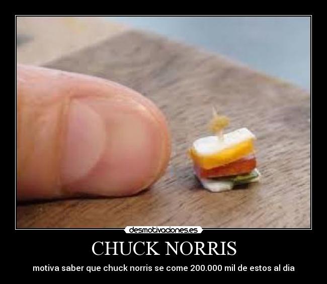 CHUCK NORRIS - 
