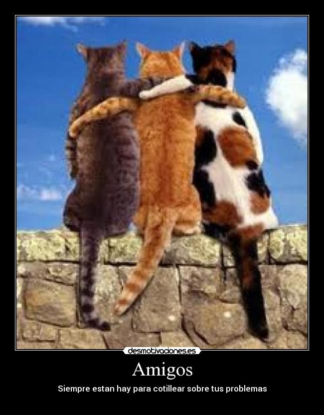 Amigos - Siempre estan hay para cotillear sobre tus problemas